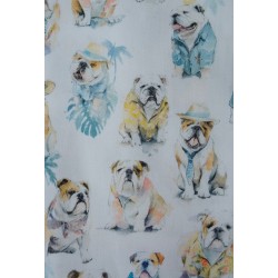 Camisa Bulldog - Darío Beltrán