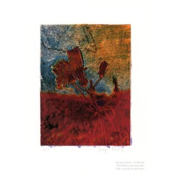 Edición limitada y firmada de la obra del fotógrafo Juanjo Ramis. A la venta en Valencia, en El Miracle galería de arte.