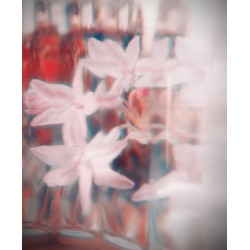Taller de Fotografía con el móvil. València 3 de Octubre 2026. El Miracle.