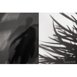 Curso taller de fotografía València. Experimental, creativa.