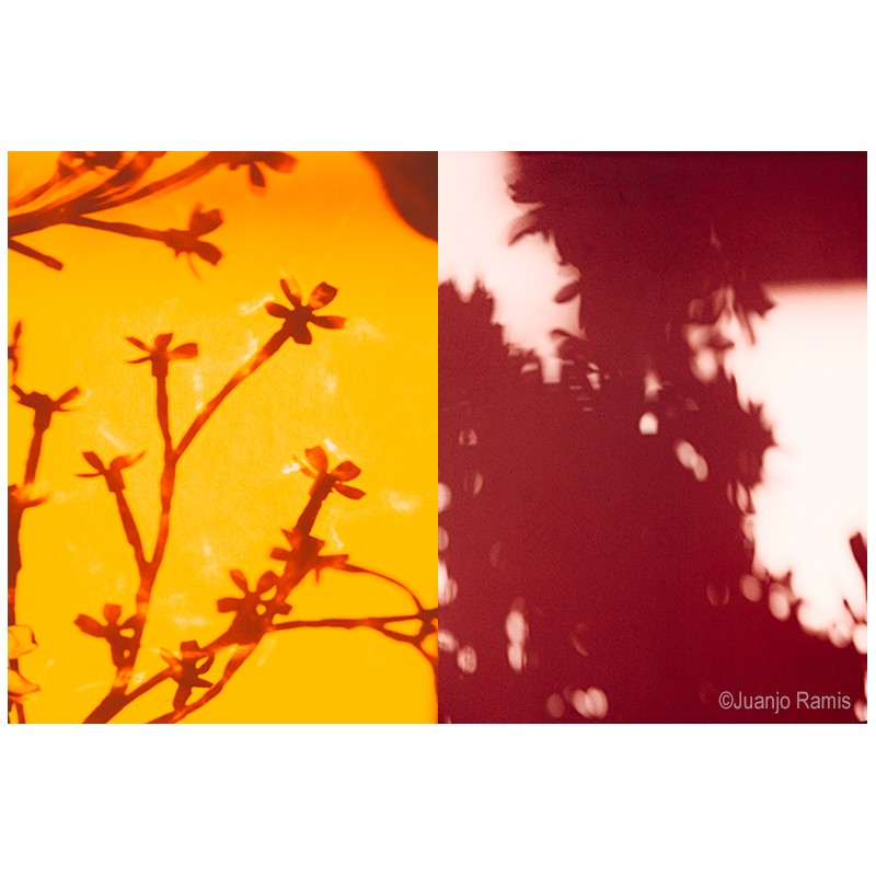 Curso taller de fotografía València. Experimental, creativa.