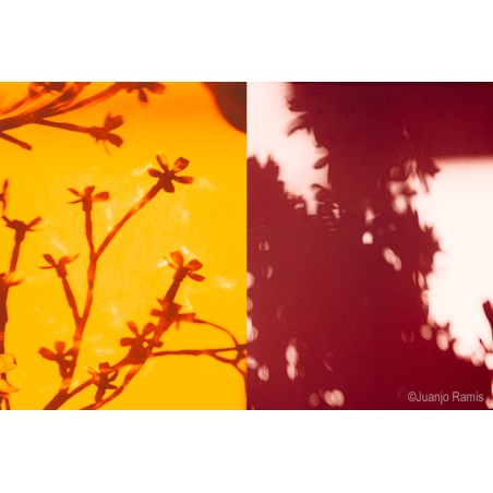 Curso taller de fotografía València. Experimental, creativa.
