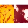 Curso taller de fotografía València. Experimental, creativa.